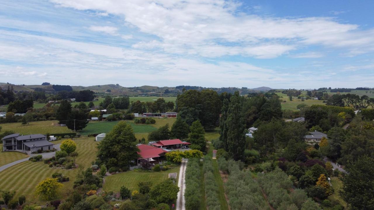 Olivista Bed & Breakfast Masterton Exterior foto